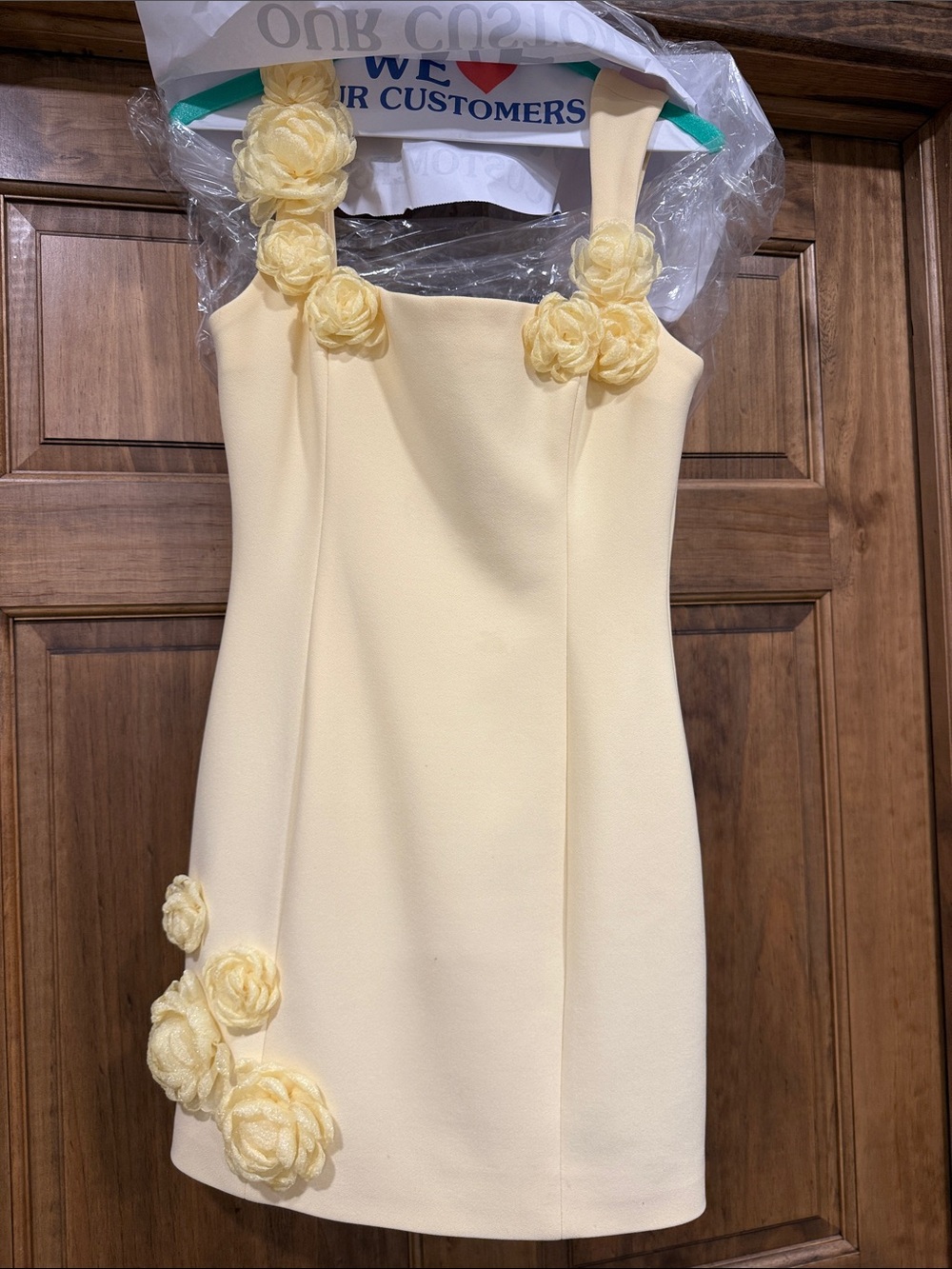 Elliatt Pale Yellow Floral-Appliqué Mini Dress